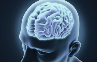 How does TMS work?